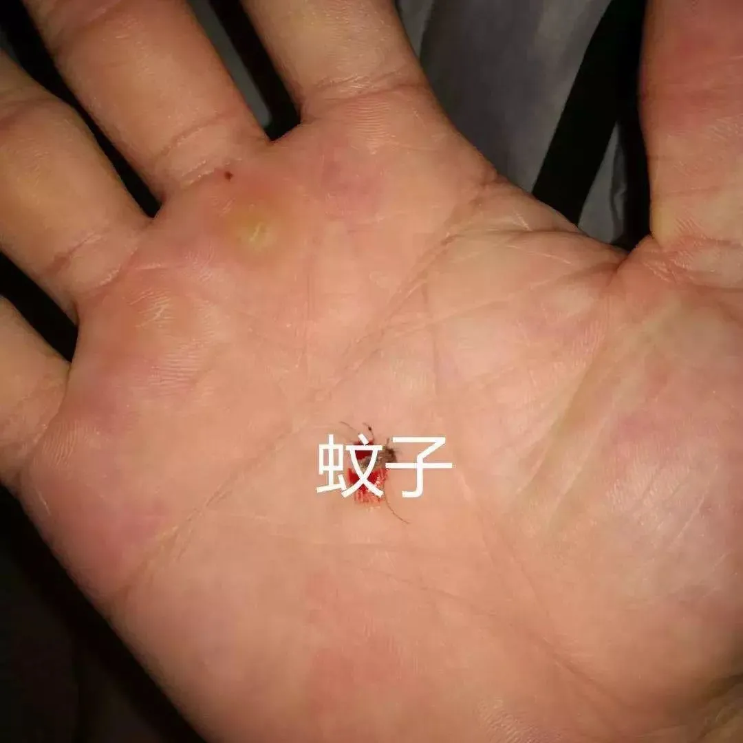 1739725978832048.png 图片1.png