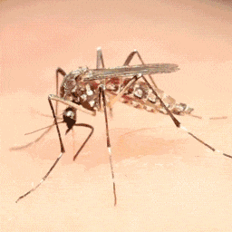 1739726014279860.png 图片3.png