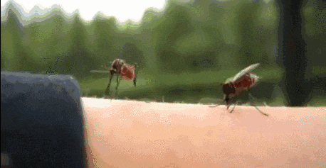 1739726066848096.png 图片7.png