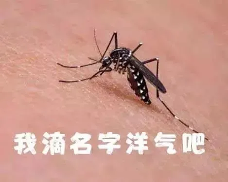 1739726087246826.png 图片8.png