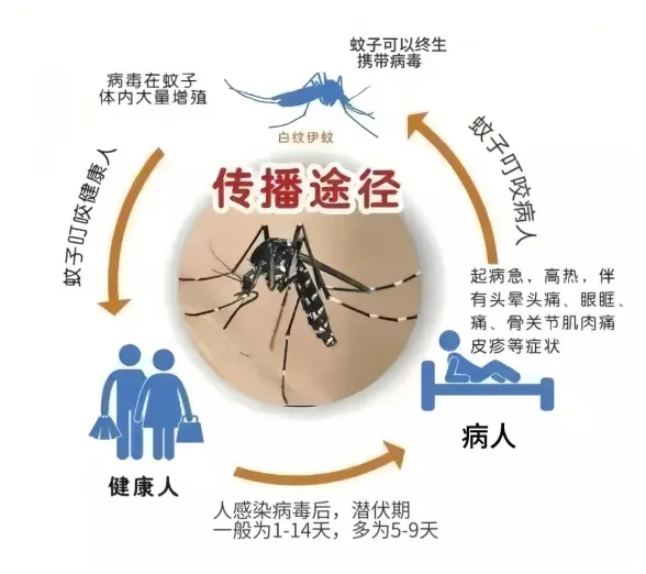 1739726098702740.png 图片9.png