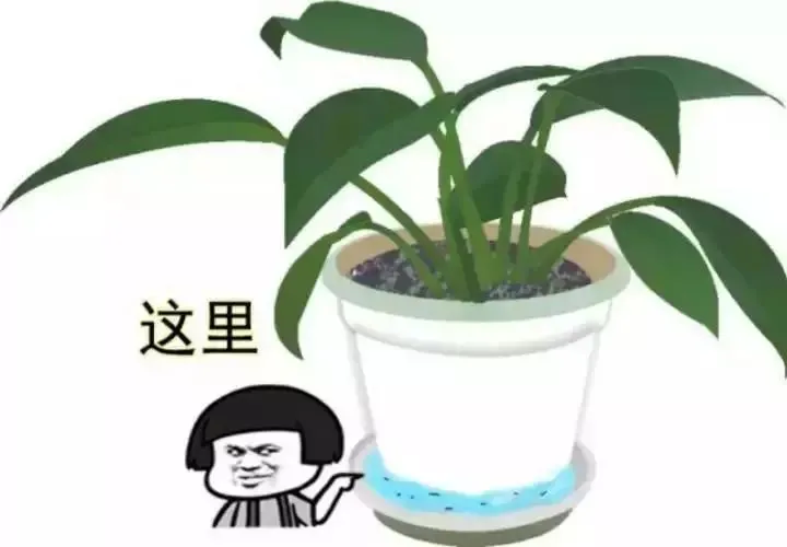 1739726115193322.png 图片11.png