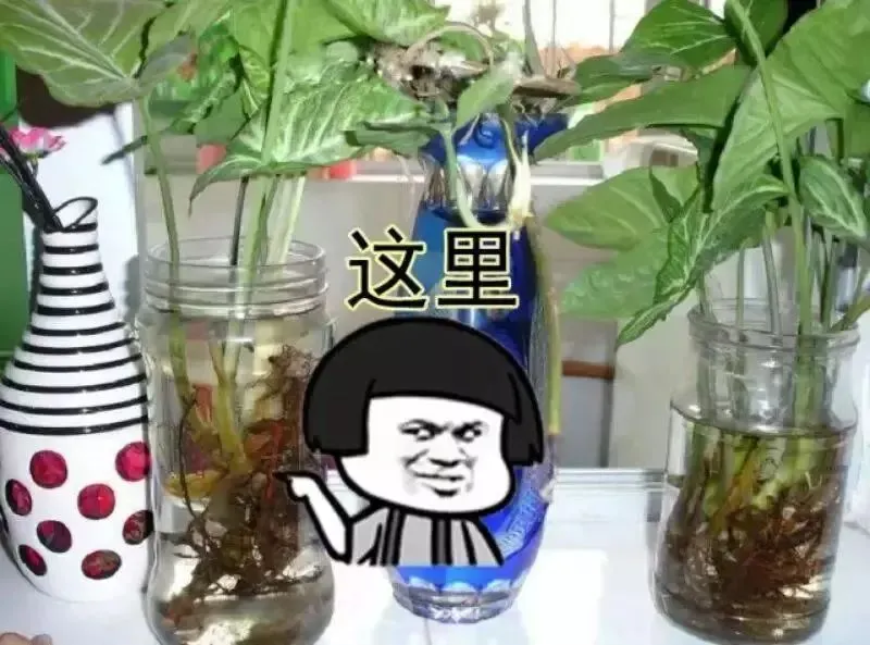 1739726126529548.png 图片12.png