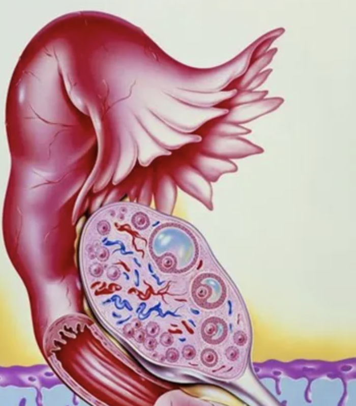 屏幕截图 2025-02-15 133452.png