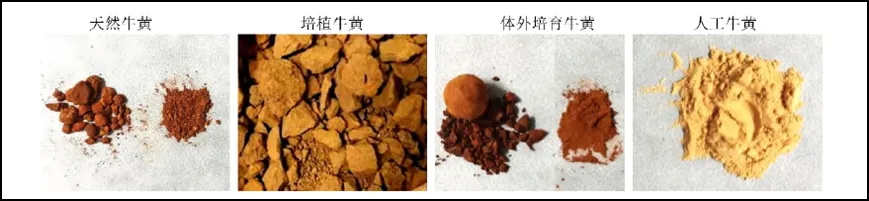 1739866405118328.png 图片1.png