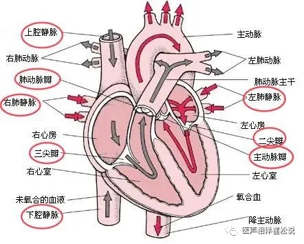 1739952234889770.png 图片1.png