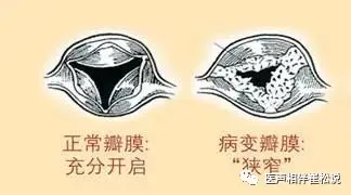 1739952255169635.png 图片3.png