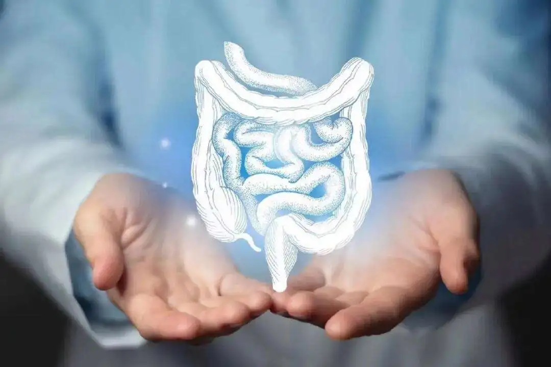 1739954790888979.png 图片1.png