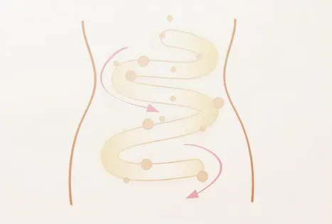 1740196477568034.png 图片5.png