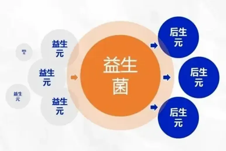 1740196487478586.png 图片2.png