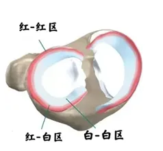 1740203006737121.png 图片6.png