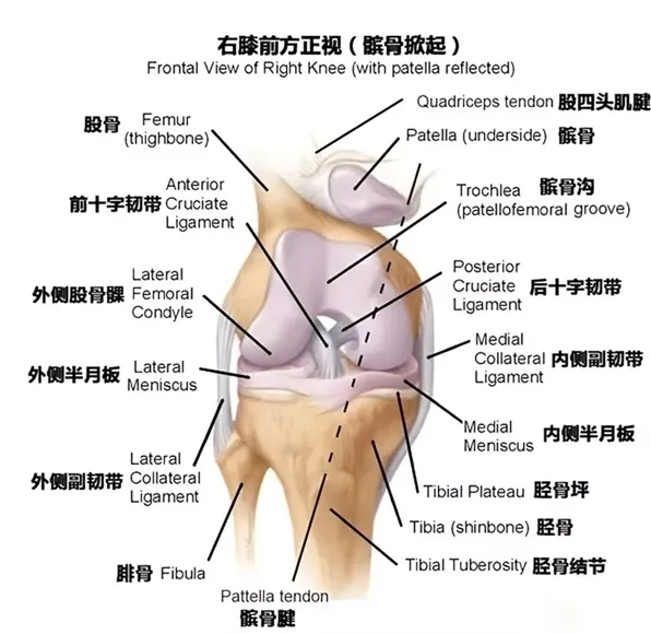 1740203008669361.png 图片7.png