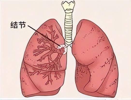 1740387150209474.jpg 图片1.jpg