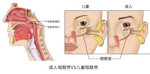 1744034032531766.png 图片2.png