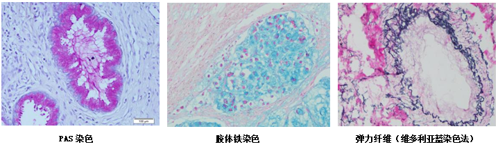 图1.png