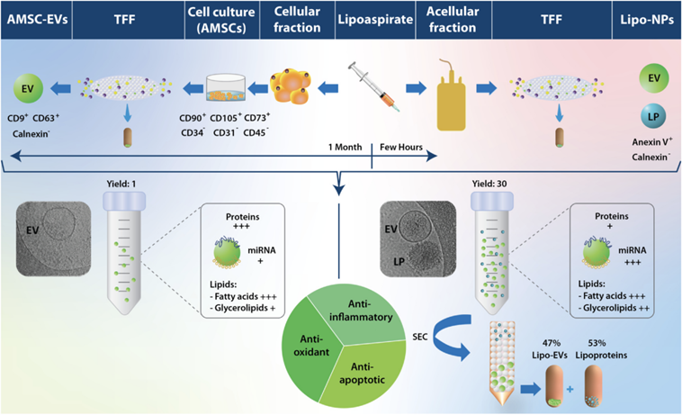 1762331597712541.png 1.png