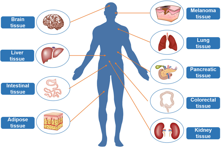 1762331605643271.png 2.png