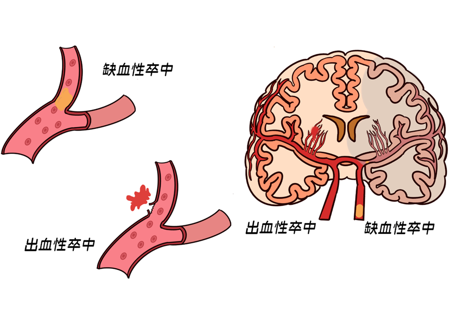 1762331943187066.png 3.png