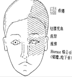 1763429406455995.png 3.png