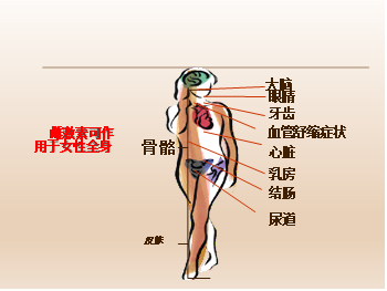 1764297908563449.png 2.png