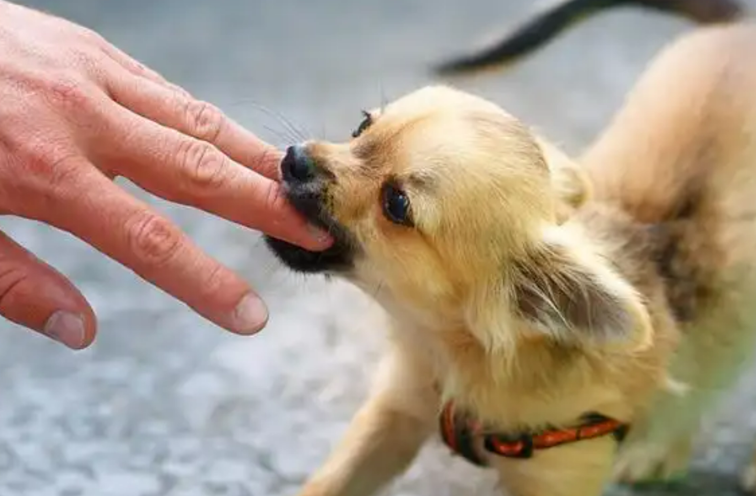 1764300823414276.png 1.png