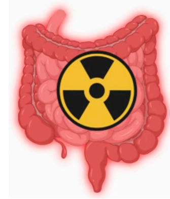 1764606190357853.png 1.png