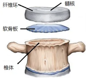 1766132812377293.png 1.png